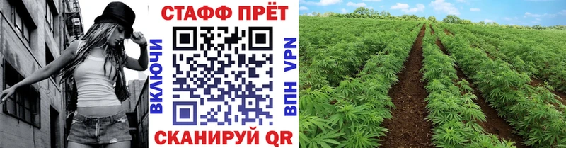 Где найти наркотики Родники A-PVP  Cocaine  МДМА  МЕФ  Марихуана  ГАШ 